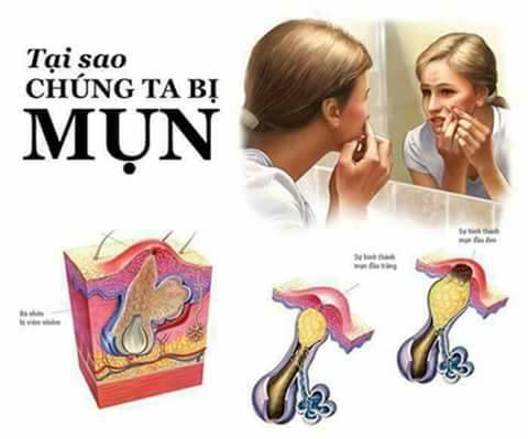 Đối tác